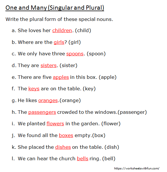 english-class-1-one-and-many-write-the-plural-form-of-these-special-nouns-worksheet-4